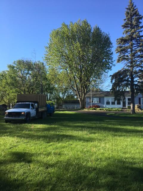 Arrow Tree Service returns a yard to pristine condition after tree cutting in Adrian, Michigan.