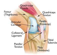 How Chiropractic Can Help Patellofemoral Tracking Syndrome