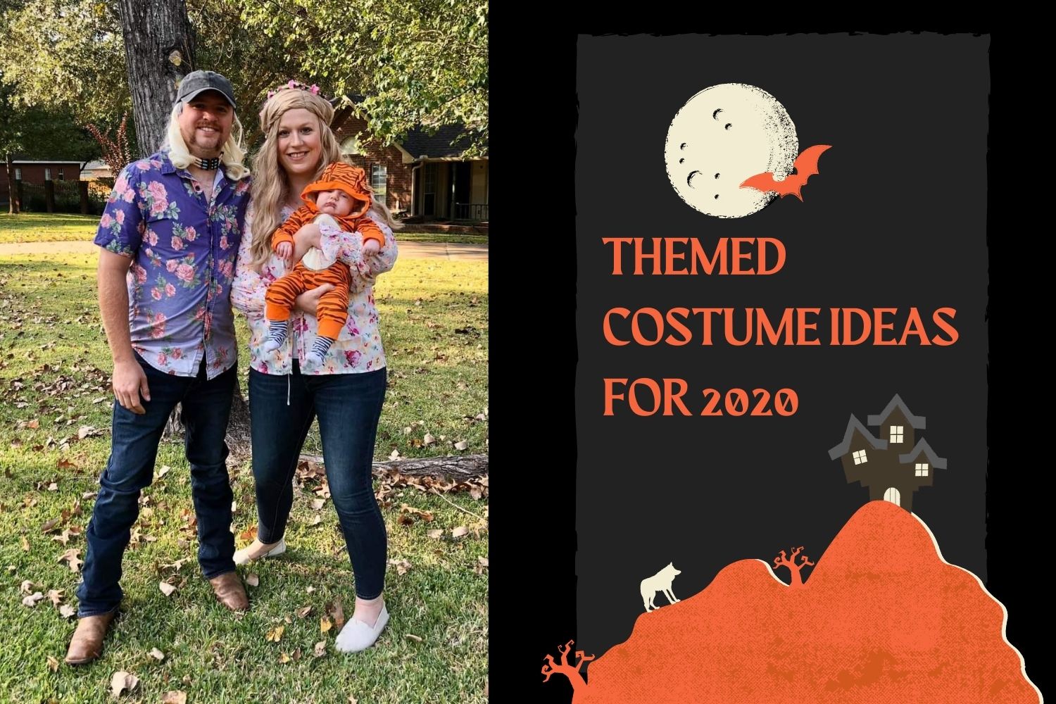 Themed Costumes Ideas for Halloween 2020