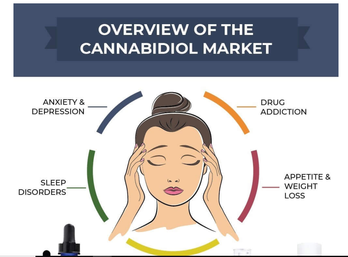 Infographic: Overview of the Cannabidiol Market from TerraVida