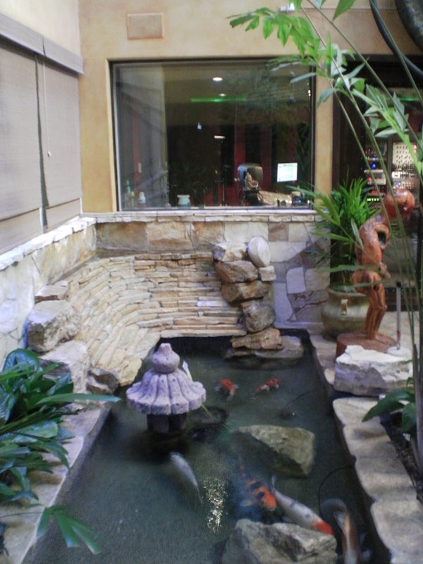 The Coy Pond at Atrium Studios