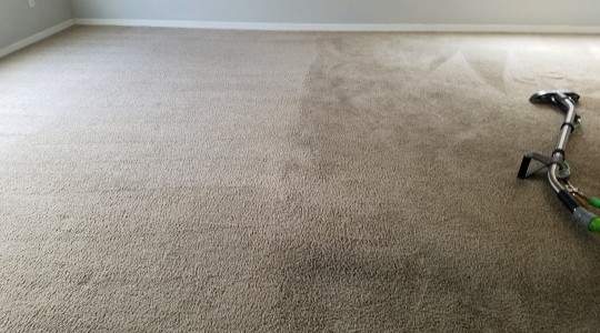 carpet cleaning Riverview