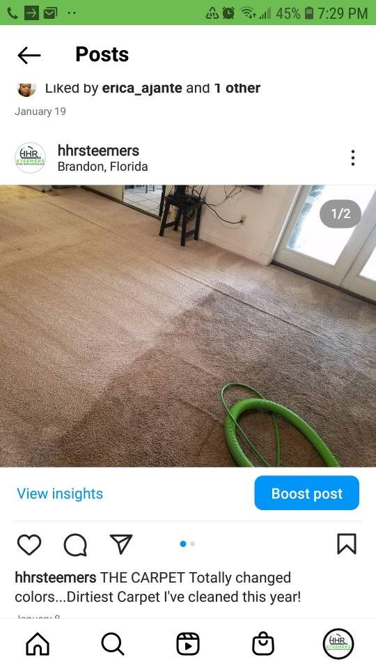 carpet cleaning Brandon