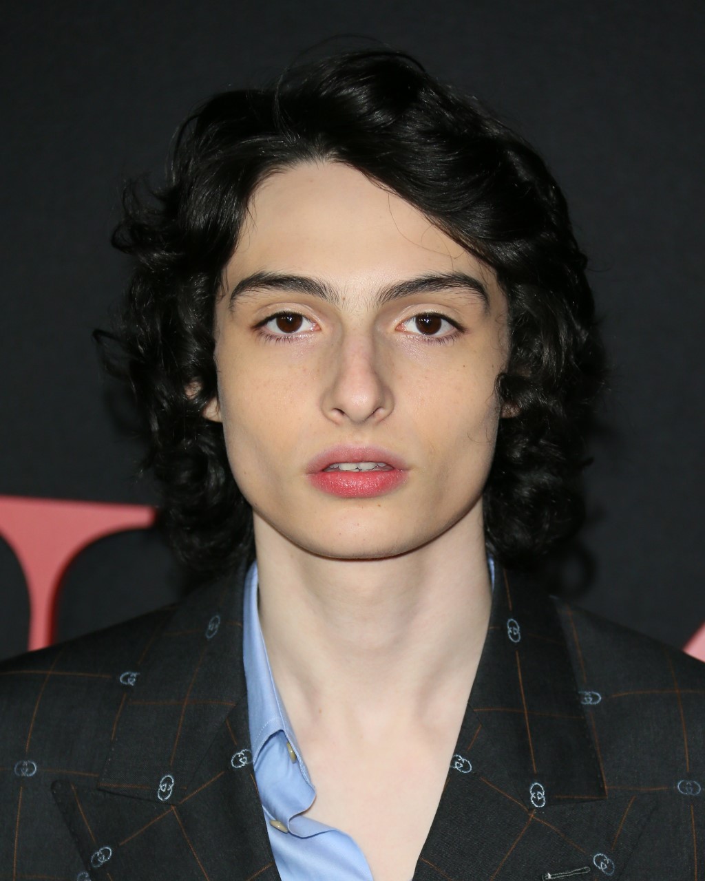 Finn Wolfhard Wiki