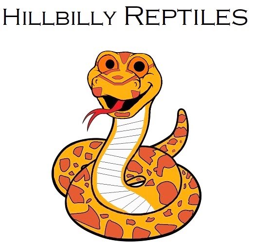 Hillbilly Reptiles