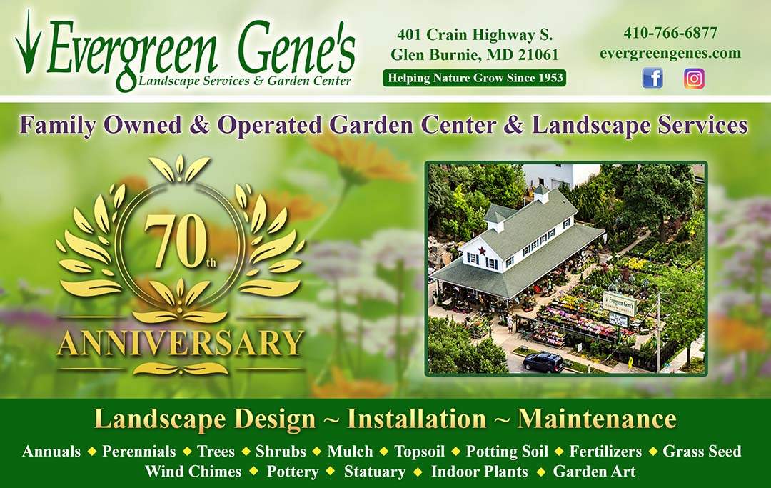 Evergreen Gene's 70th Anniversary