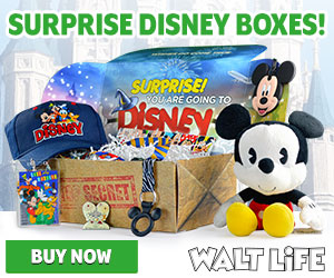 Walt Life Disney Subscription Box