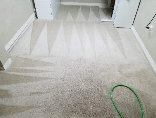 Carpet Cleaning Bloomingdale