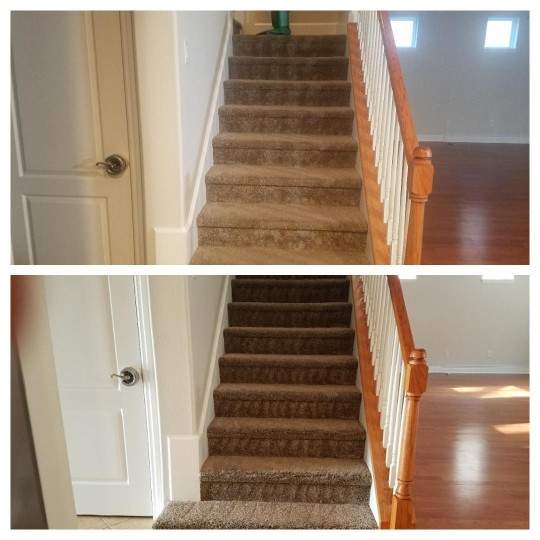 carpet cleaning St.Pete