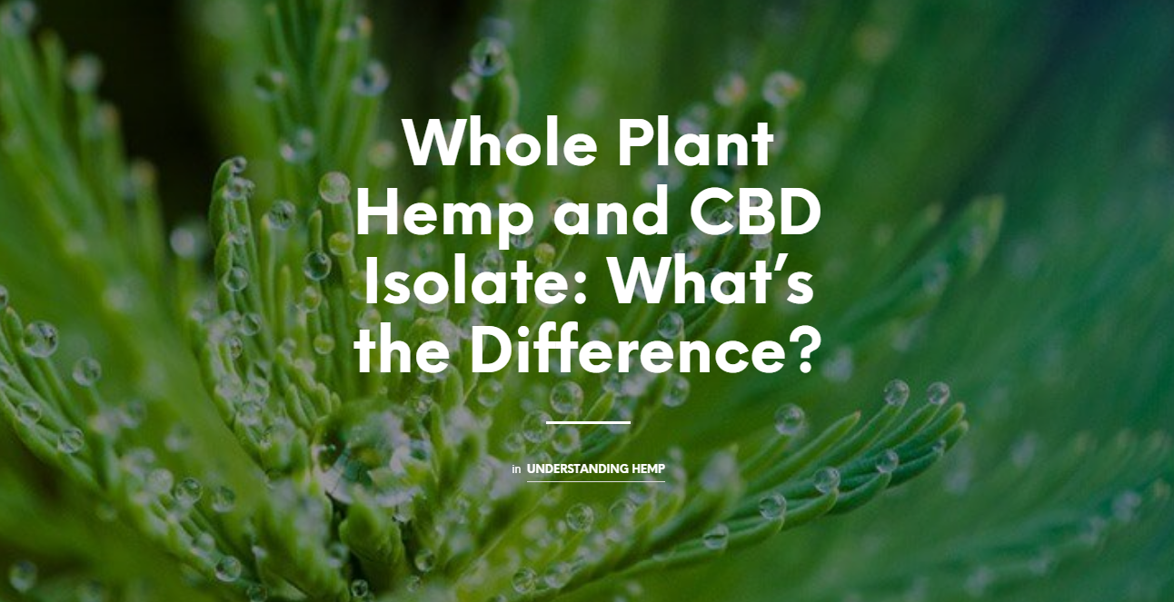 Whole Plant Hemp and CBD Isolate: What’s the Difference?