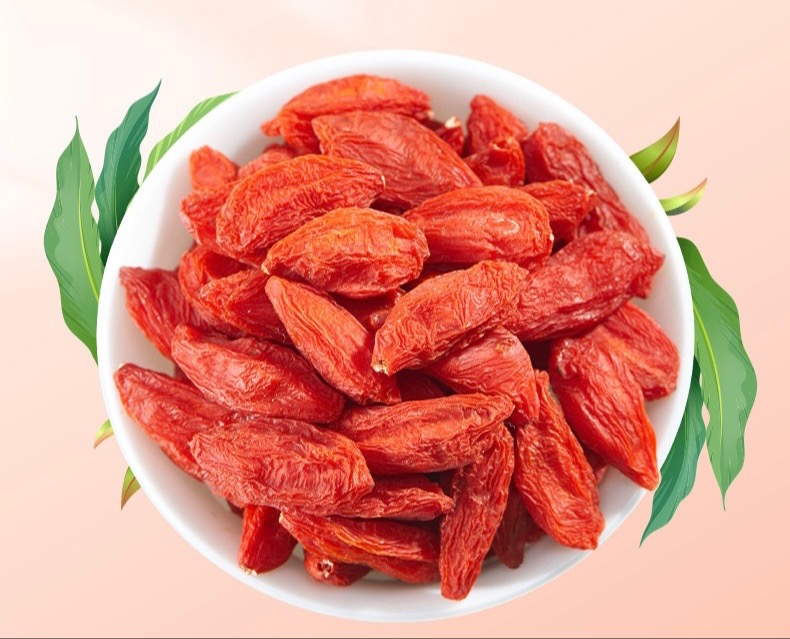 Baie de Goji - Ningxia Chine