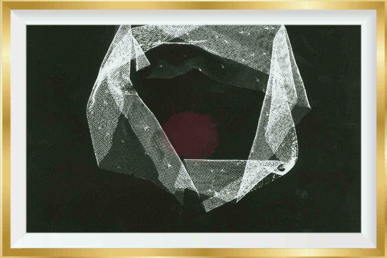 black & white, silver gelatin photogram of a piece of lace - Photographer, Christina Shivcharan