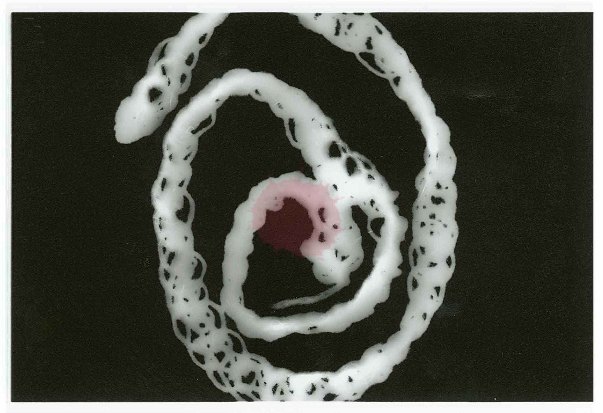 Crocheted chain printed on black & white silver gelatin photo paper - 2018