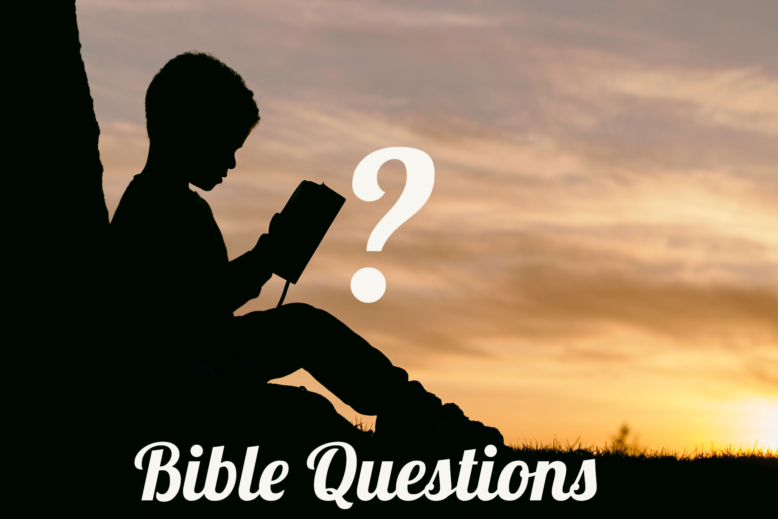30 Questions About the Bible
