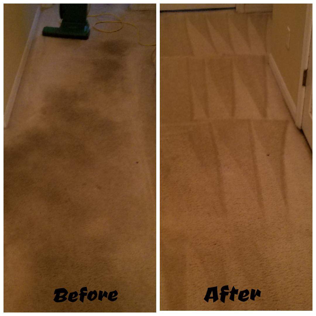 Carpet Cleaning Valrico