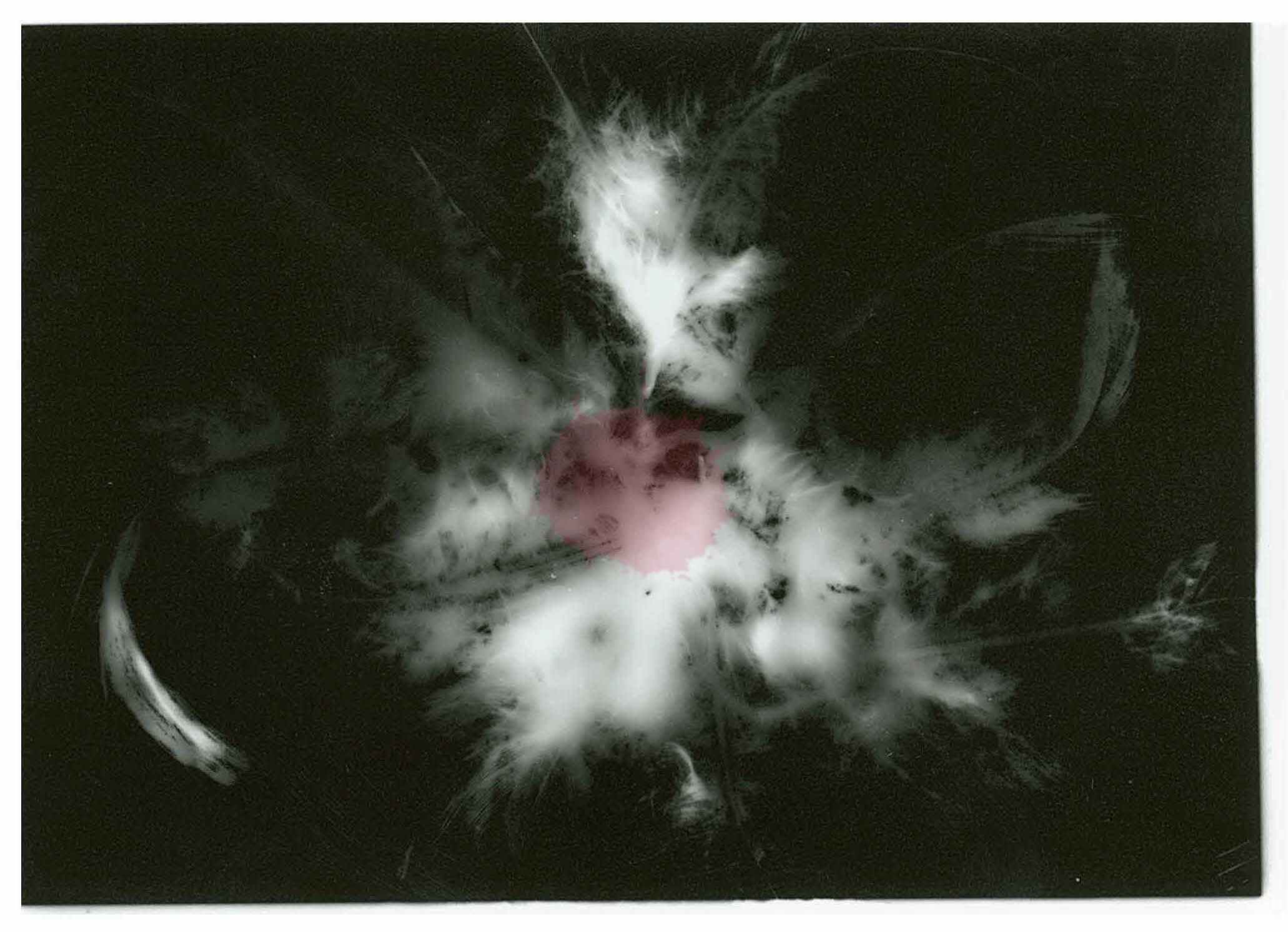 A bouquet of downy faux feathers printed on black & white, silver gelatin photo paper - 2018