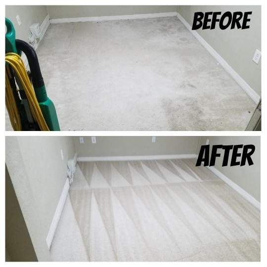 carpet cleaning Carrolwood
