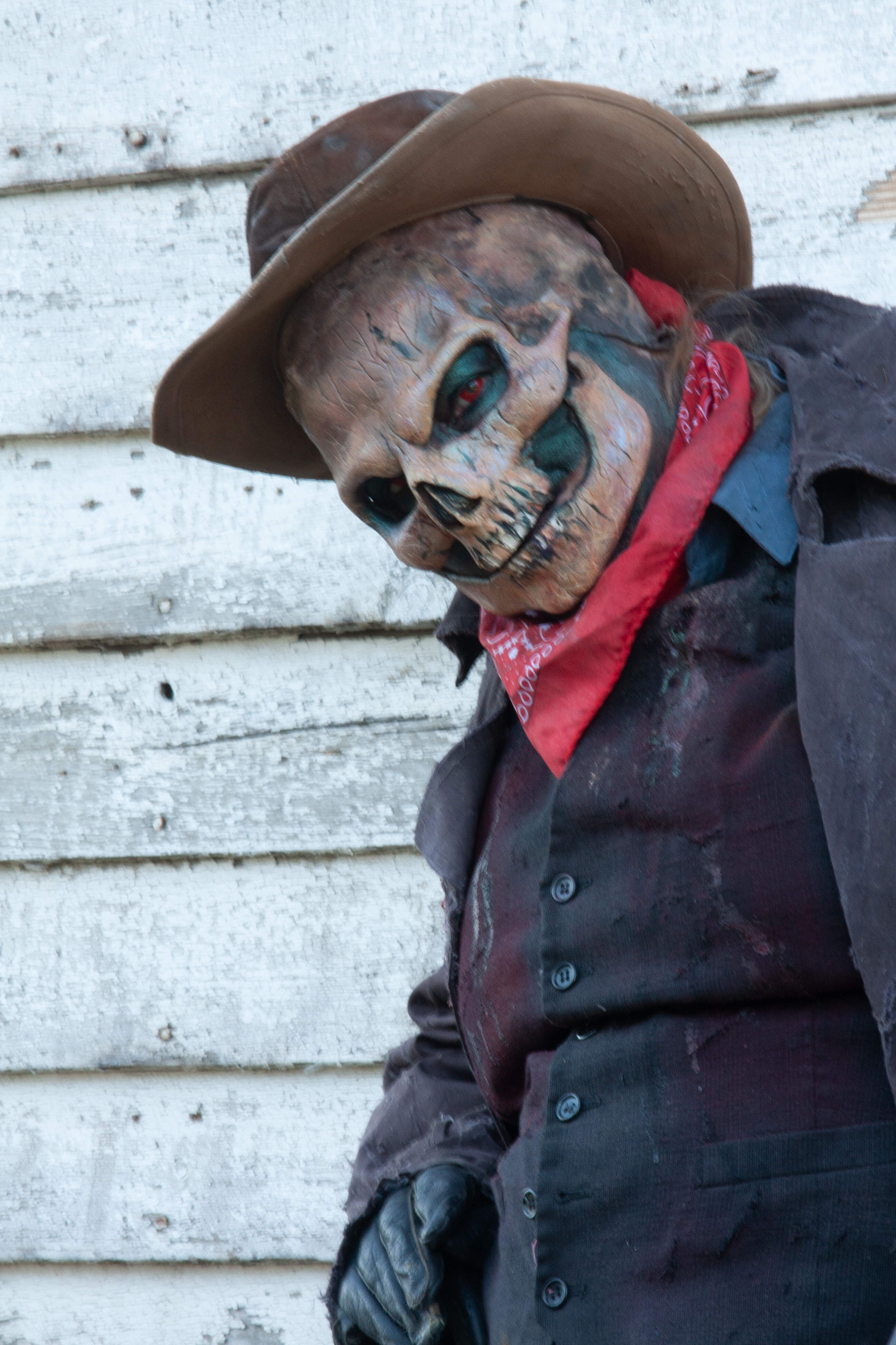 Skull prosthetic @MostlyDead.com makeup & application -Me. Photos -Amy Hackler Stephans