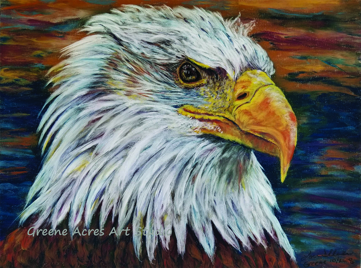 pastel on pastel card
16x12
-commissioned work-