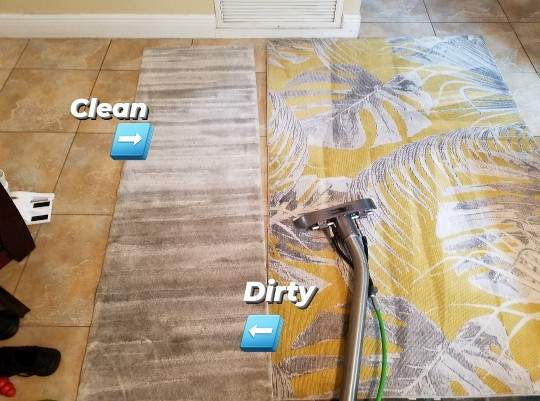 rug cleaning Tampa
