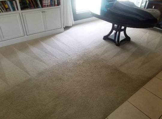 Carpet Cleaning South Tampa