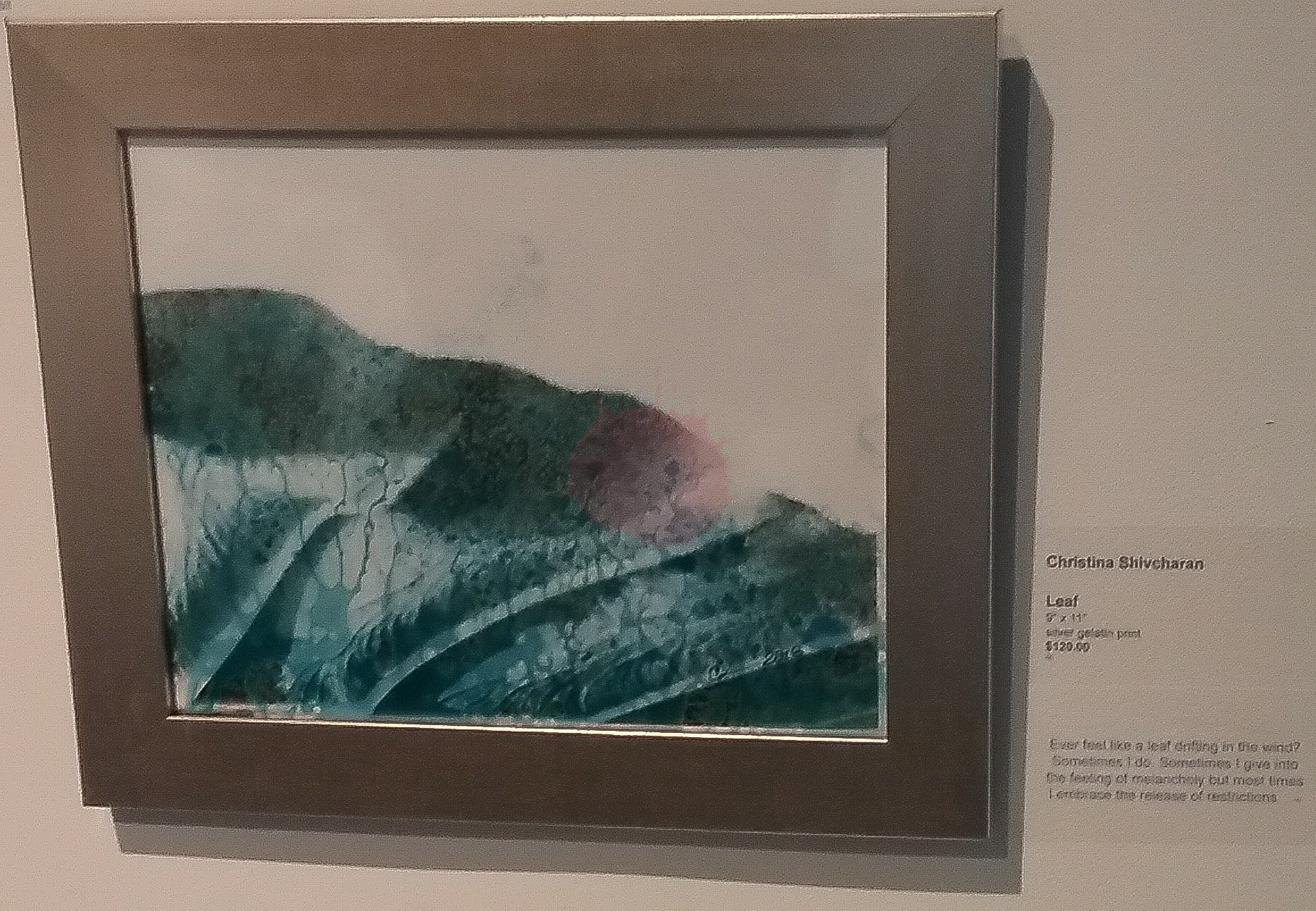Leaf 2018, toned film-based, silver gelatin photograph on display at Propeller Gallery's Blue Impluse exhibit.  Photographer, Christina Shivcharan