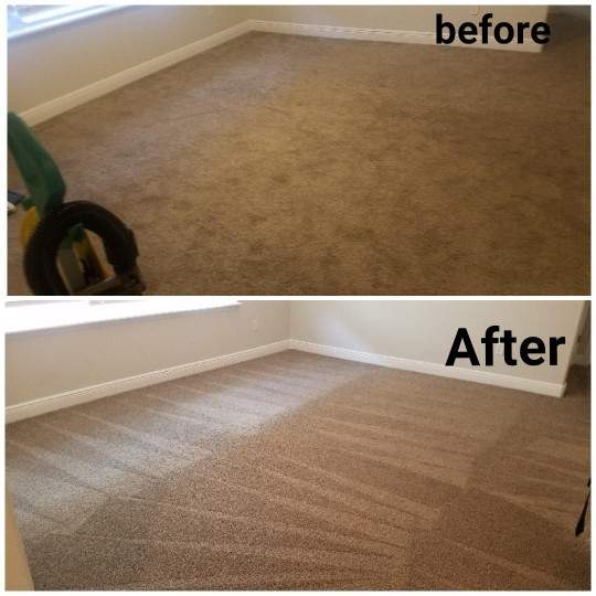 carpet cleaning Land OLakes