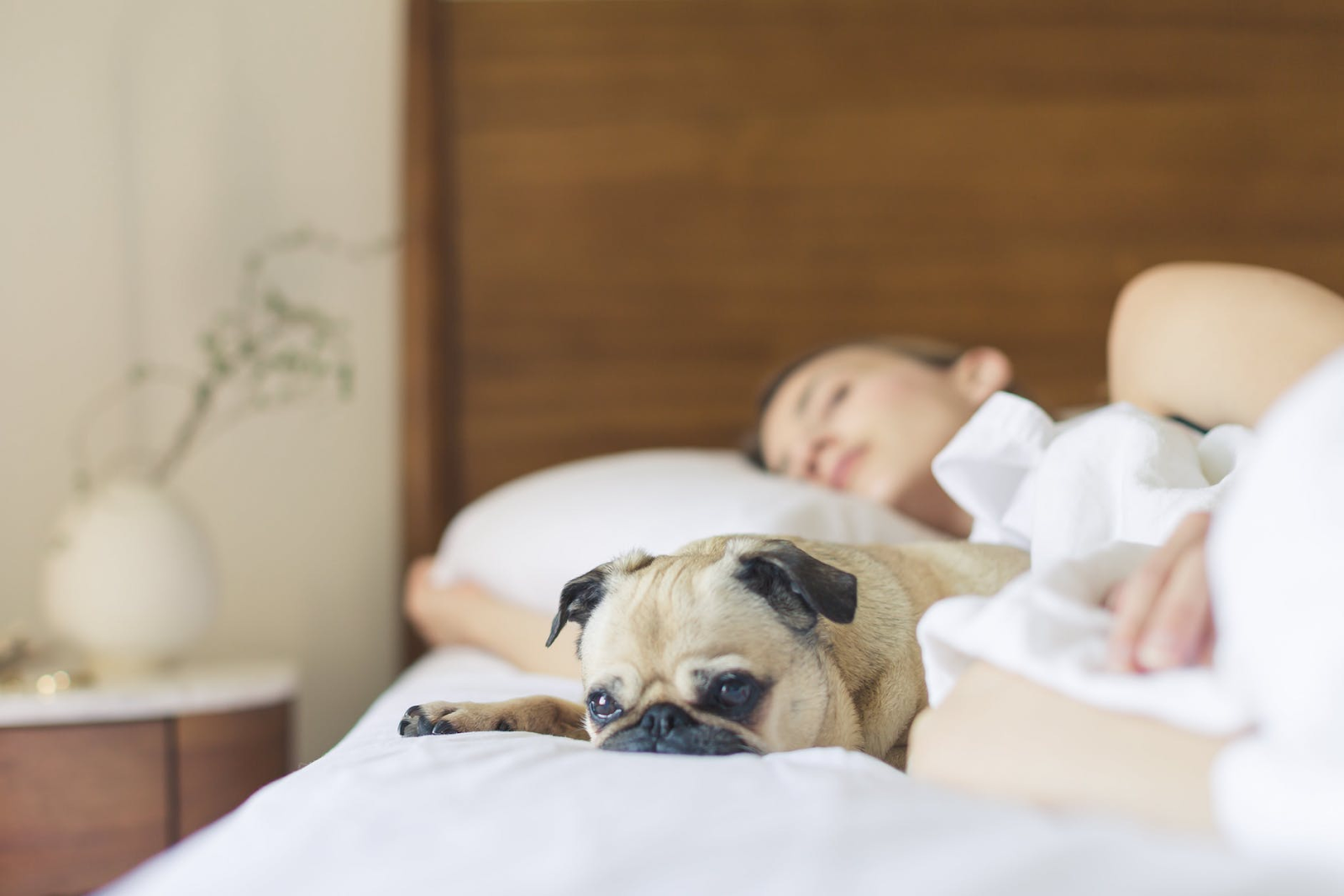 CBD Oil for Sleep: Top Tips for Success