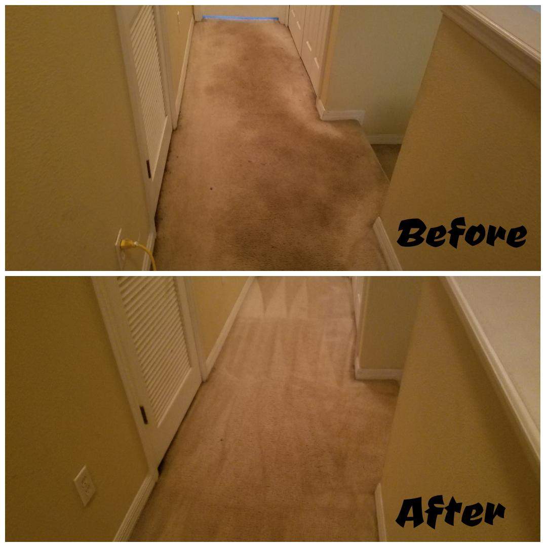 Carpet Cleaning Valrico