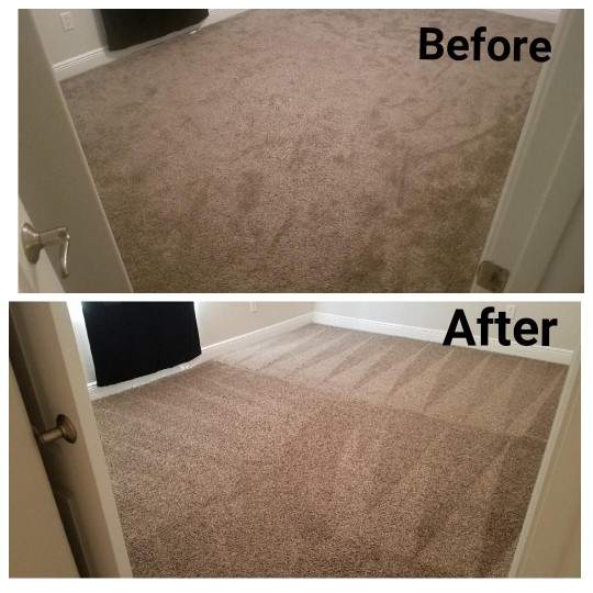 carpet cleaning Tampa