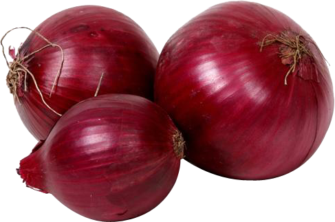 Onions & Dehydrated Onions & Garlic