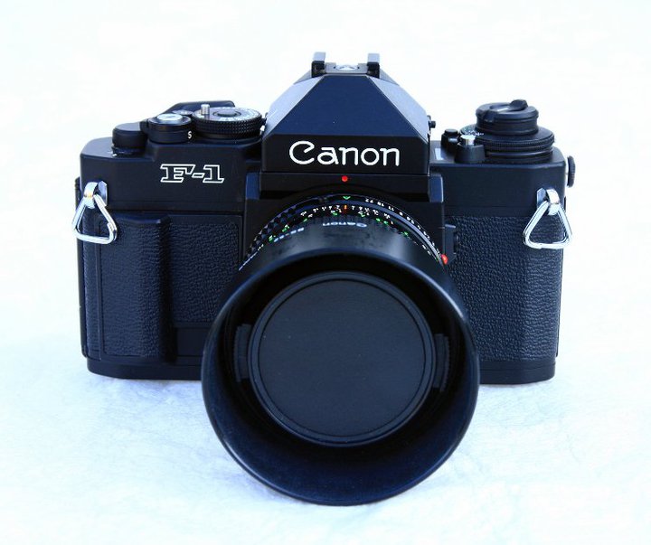 Canon F1n w/ 50mm 1.4