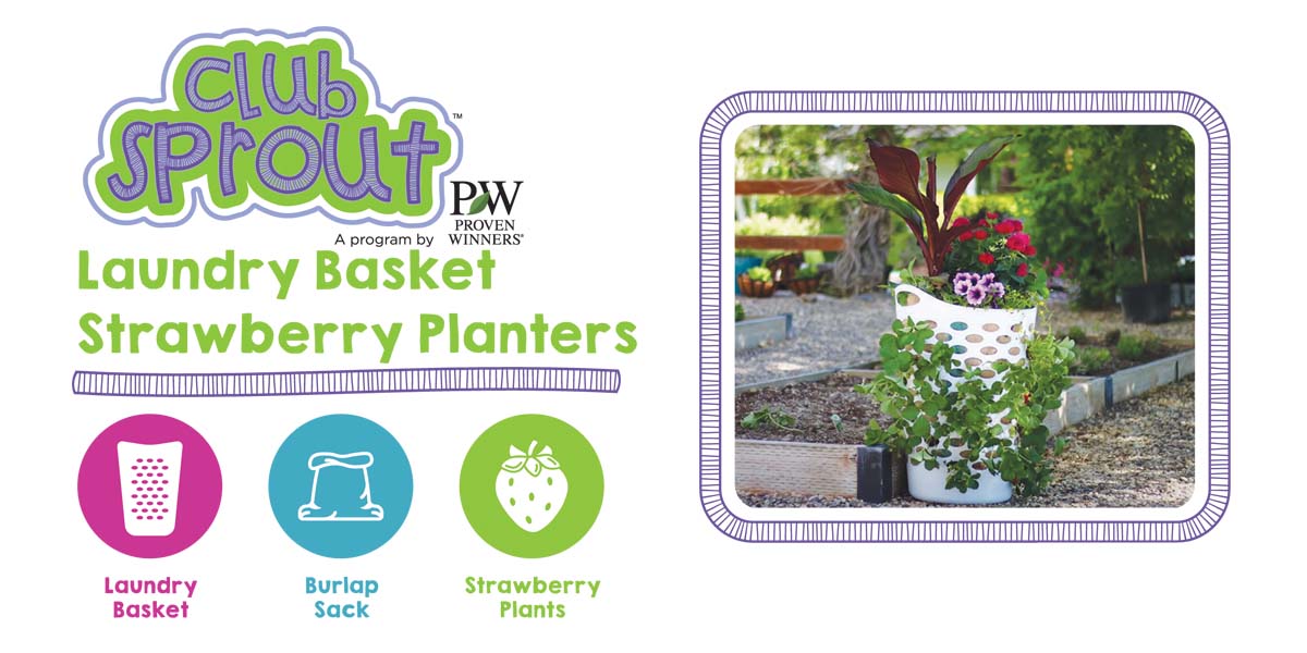 DIY Strawberry Planter
