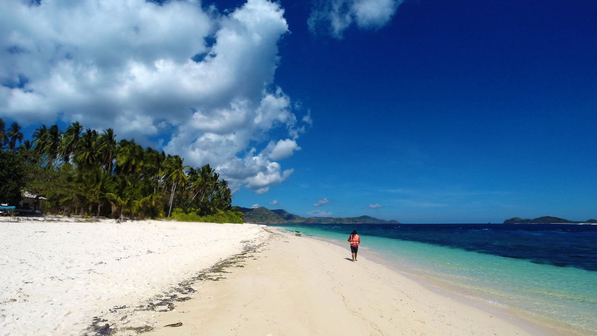  Palawan Beach  and Island Properties for Sale